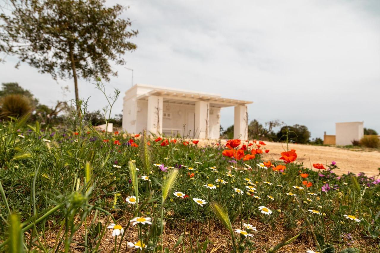 Masseria Scaledda 曼杜里亚 外观 照片